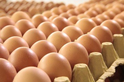 恩施自治州鸡蛋检测价格,鸡蛋检测机构,鸡蛋检测项目,鸡蛋常规检测